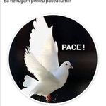 Ştefan Burtea - @burtea_stefan - Instagram