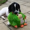stefancampbell2 - @stefancampbell2 - TikTok