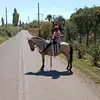 stefan Rivera castillo - @stefancastillo3 - TikTok
