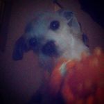 Stefan Davis - @stefan.davis.92317 - Instagram