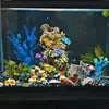 Come watch my fish tank:) - @stefansfishtank - TikTok