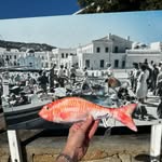 Stefan fish - @travel_with_stefan09 - Instagram