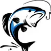 Stefan Fishing - @stefan.fishing15 - TikTok