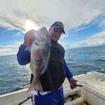 Stefan Fishing Astakos - @stefan.fishing.astakos - Instagram