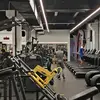 Stefan - @stefangreen - TikTok