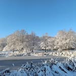 Stefan Hansen - @the.stefan.hansen - Instagram