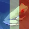 Stefan Hansen - @stefan.hansen3 - TikTok