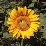 Stefan Hartmann - Facebook