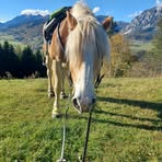 Stefan Hartmann - Facebook