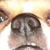 Stefan Heil529 - @stefanheil529 - TikTok