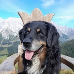 Stefan Heilig - @stefan.heilig - Instagram