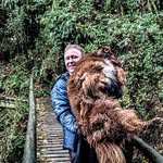 Stefan Holtkötter - @stefanholti85 - Instagram