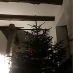 Stefan Holtmeyer Holle - @stefan_holtmeyer - Instagram