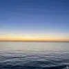 Stefan - @stefanholt87 - TikTok