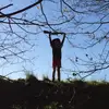 Stefan Howard - @stefanhoward - TikTok