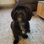 Stefan Kemp - @kempst1966 - Instagram
