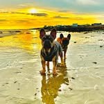Stefan Kemp - @stef_kemp - Instagram