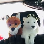 Irina + Sam + Stefan - @silverfox_on_tour - Instagram