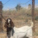 Stefan Kruger - @stefaans308 - Instagram