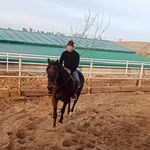 stefan longa - @stefan.longa - Instagram
