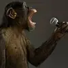 stefanlutz301 - @stefanlutz301 - TikTok