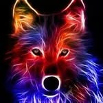 Stefan Markowitz - @stefan.markowitz - Instagram