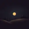 stefanmayer - @stefanmayer - TikTok