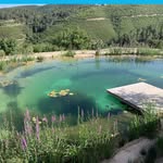 Stefan Meier - @thebiopool - Instagram