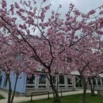 Stefan Meier - Facebook