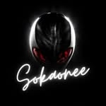 𝕾𝖙𝖊𝖋𝖆𝖓 𝕸𝖊𝖎𝖊𝖗 - @twitch_sokaonee - Instagram