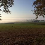 Stefan Meier - @stefan_meier_ - Instagram