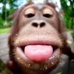 Stefan Meißner - @meissner5204 - Instagram