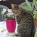 Stefan Moser - Facebook