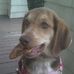 Stefan Philbrook - Facebook