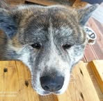 Stefan Rutkowski - Facebook