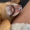 stefanwunderlich9 - @stefanwunderlich9 - TikTok