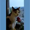 Stefanie Altmann - @einafets1303 - TikTok