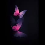 Stephanie Andersen - Facebook