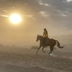 Stefanie Arnold - @steffia611 - Instagram