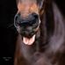 Stefanie Blank Fotografie - Facebook