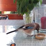 Stefanie Decker - @zimtbaer67 - Instagram