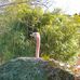 Stefanie Friedrich - Facebook