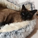 Stefanie Friedrich - @my_boring_life.not - Instagram