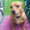 Steffi - @stefaniefriedrich8181 - TikTok