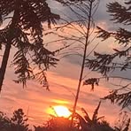 Stephanie Gibson - Facebook