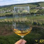 Stefanie Hoffmann - @weingut.thomas.hoffmann - Instagram