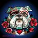 Stephanie Hooper - Facebook