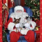 Stefanie Howard - Facebook