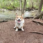 Stefanie Kohl Howard - @zoickatiniac - Instagram