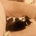 Stefanie Jacobs - Facebook